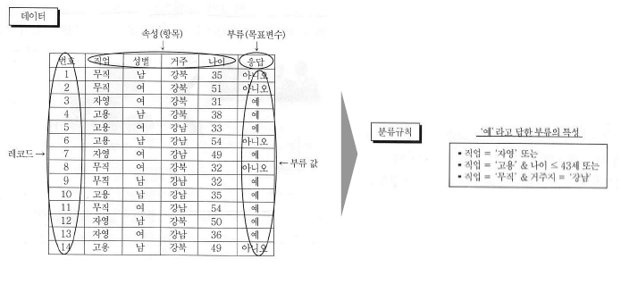 Classification